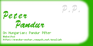 peter pandur business card